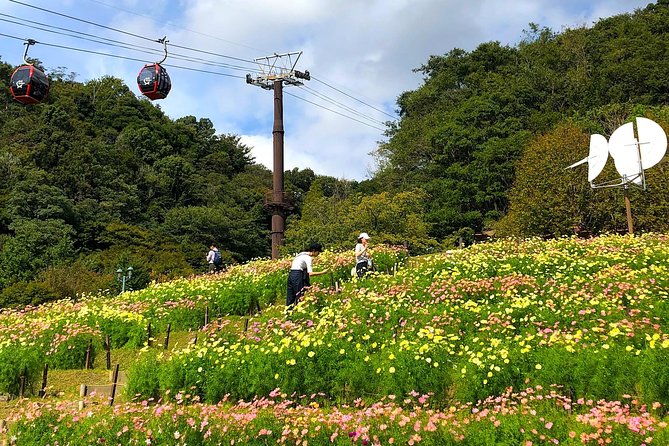 1-Day Kobe Highlights Tour including Sake Tasting - A short visit to Ikuta Shrine