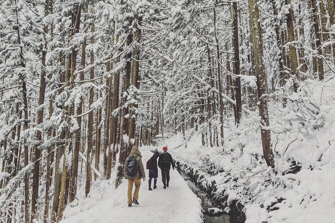 1-Day Snow Monkeys, Zenko-ji Temple & Sake in Nagano - Can you do it as a Tokyo day trip?