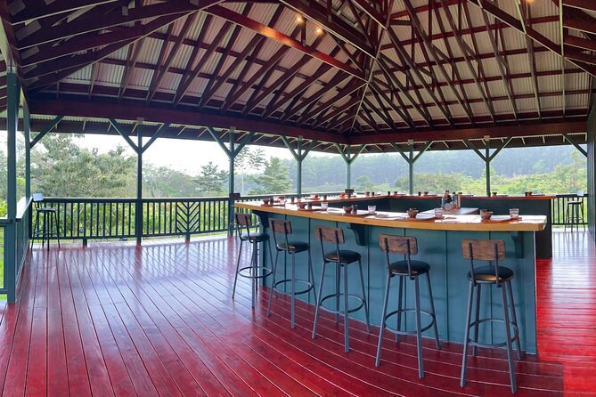10 Bar Hawaiian Craft Chocolate Tasting Experience - The road from Hilo to a family cacao farm