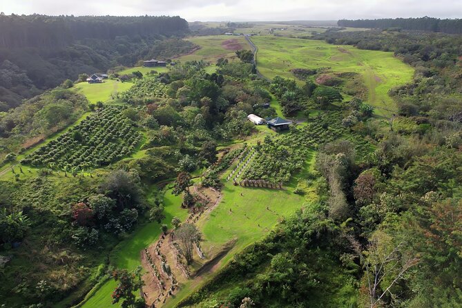 10 Bar Hawaiian Craft Chocolate Tasting Experience - What the historical lesson adds