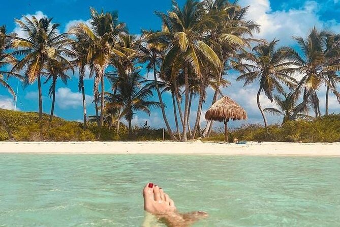2x1 Tour: Isla Contoy, Isla Mujeres, Open Bar, Lunch and Transfers - Isla Contoy, a protected natural reserve