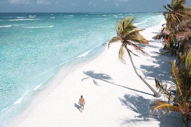 2x1 Tour: Isla Contoy, Isla Mujeres, Open Bar, Lunch and Transfers - Snorkeling along the Mesoamerican Reef