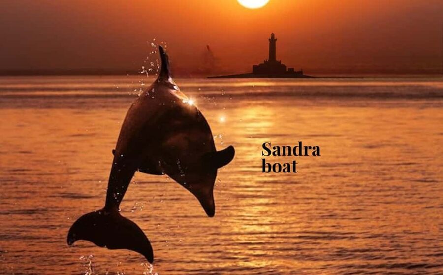 3hours Dolphin Sunset watching with unlimited drinks +dinner - Starting at Medulin Harbour