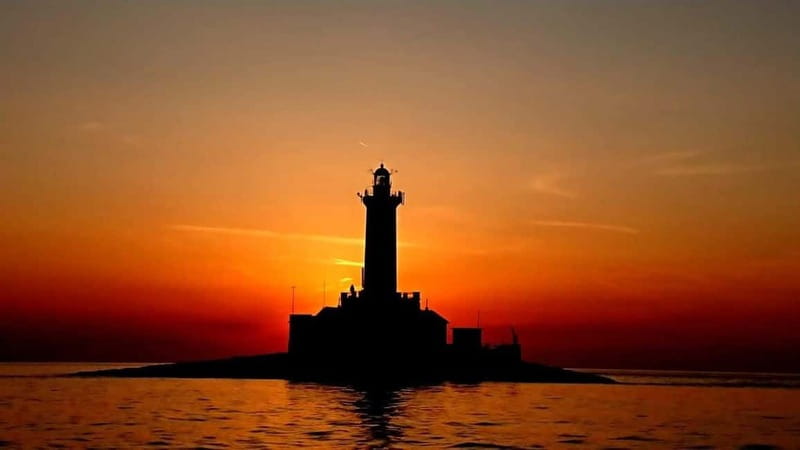 3hours Dolphin Sunset watching with unlimited drinks +dinner - Who Will Enjoy This Most?