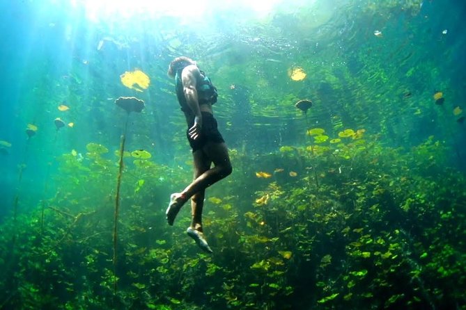 4-in-1 Cenote Tour Guided Experience with Breakfast, Lunch & Wine - K’áak’ Fire Cenote: an easy first swim