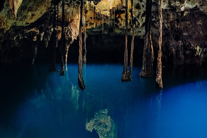 4-in-1 Cenote Tour Guided Experience with Breakfast, Lunch & Wine - Há Water Cenote: snorkeling gardens and a kayak