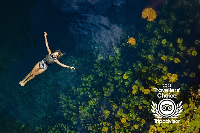 4-in-1 Cenote Tour Guided Experience with Breakfast, Lunch & Wine - Lunch, drinks, and the practical realities