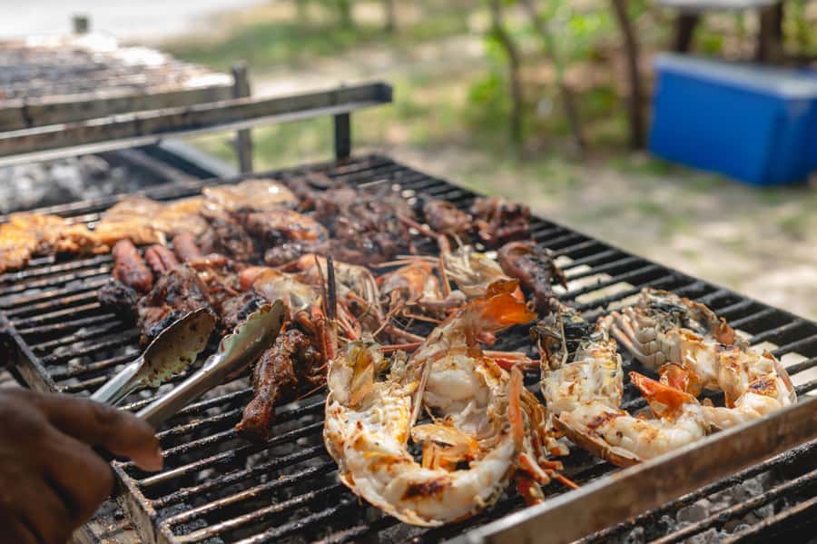 5 Islands Speedboat Cruise, Snorkeling + Lunch & Open Bar - Ile aux Aigrettes and the nature-reserve setting