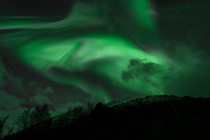 7 hours Tromsø Aurora Tour: Photos, snacks & warm drinks included - What happens during the six to seven hours