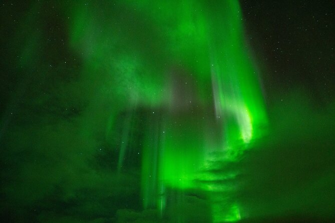 7 hours Tromsø Aurora Tour: Photos, snacks & warm drinks included - The value of $102.26 per person