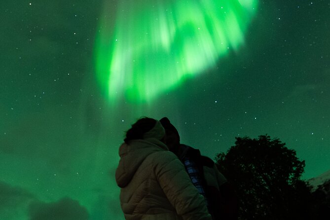 7 hours Tromsø Aurora Tour: Photos, snacks & warm drinks included - Why a weather chase matters in Tromsø