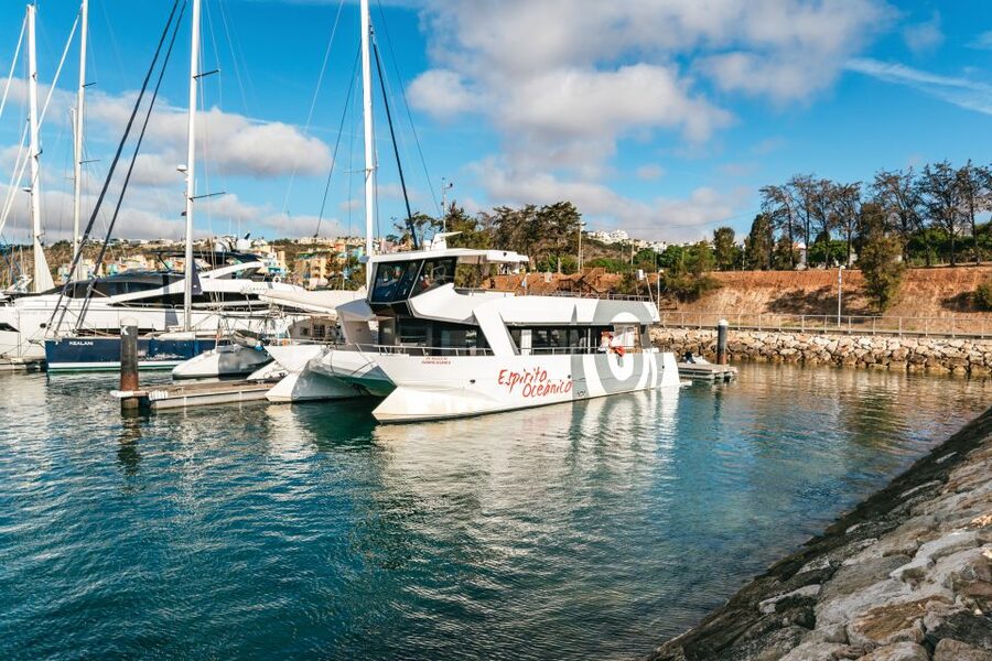Albufeira: Sightseeing Cruise with Beach BBQ and Open Bar - Who will enjoy this Albufeira cruise most?