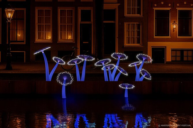 Amsterdam: Light Festival Boat with Unlimited Drinks & Snack - The route from the Dancing Houses to the Seven Bridges