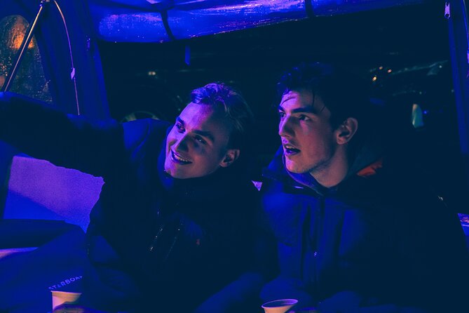 Amsterdam: Light Festival Cruise with Unlimited Drinks Option - What the Light Festival actually feels like