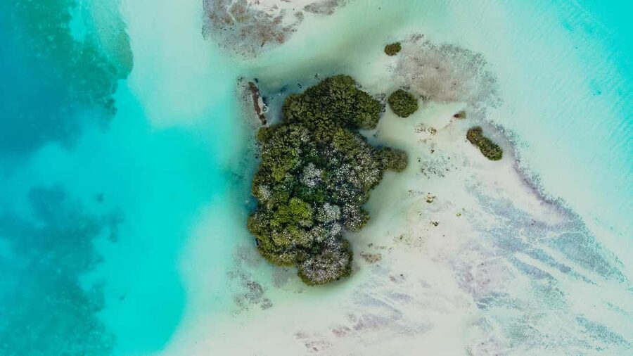 Bacalar Lagoon Sailing Tour with Open Bar and Mexican Lunch - What to bring and what to leave behind