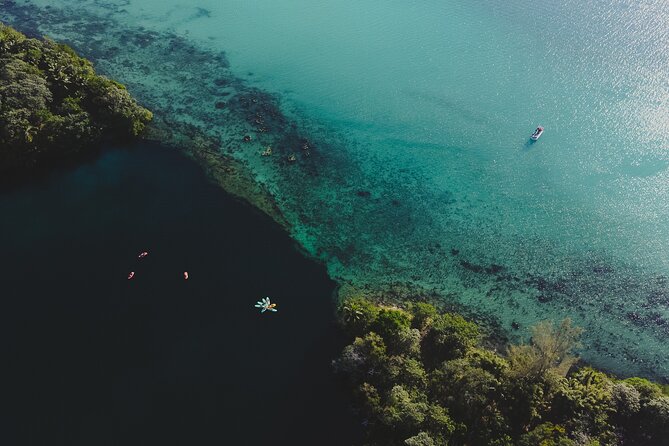 Bacalar Lagoon Sightseeing Boat Tour with Open Bar and Snacks - The guides are a big part of the experience