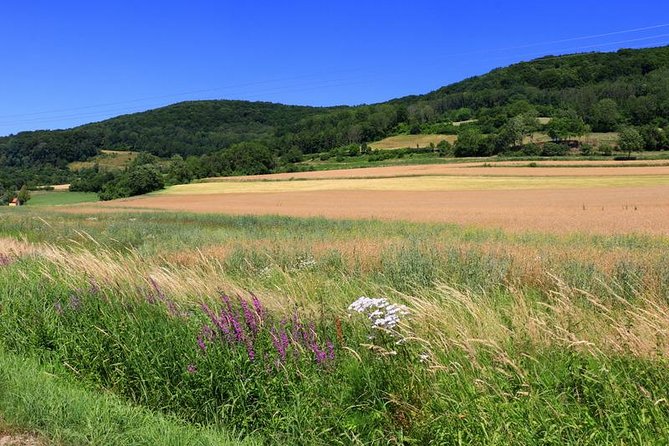 Bamberg Countryside Breweries Beer Hike Food Experience - Why this is more than a Bamberg beer tasting