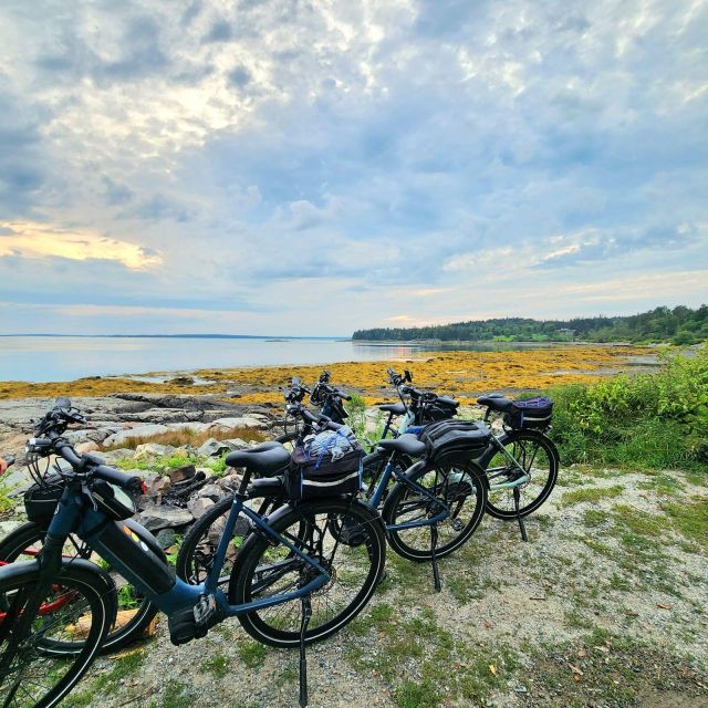 Bar Harbor: Acadia National Park Carriage Roads Ebike Tour - Witch Hole Pond, Duck Brook Bridge, and the beaver bog