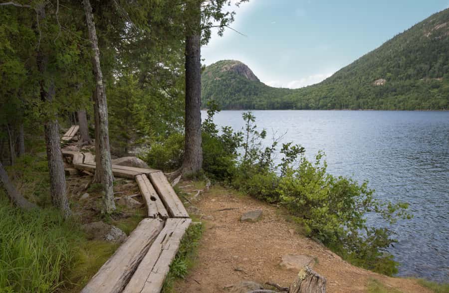 Bar Harbor: Premium Private Tour with Local Guide - Jordan Pond and the Wild Gardens of Acadia