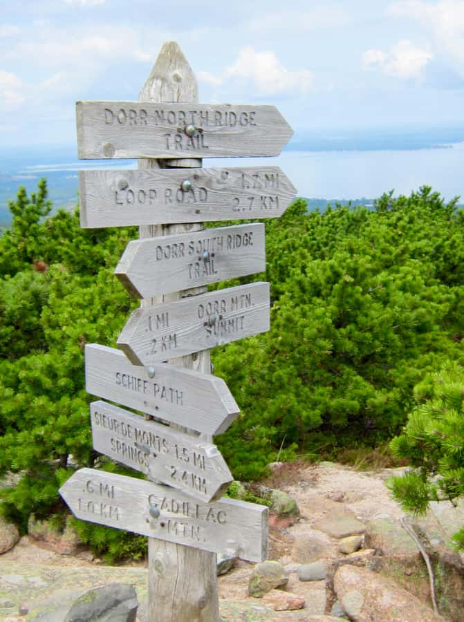 Bar Harbor: Premium Private Tour with Local Guide - Quiet viewpoints and the local touch