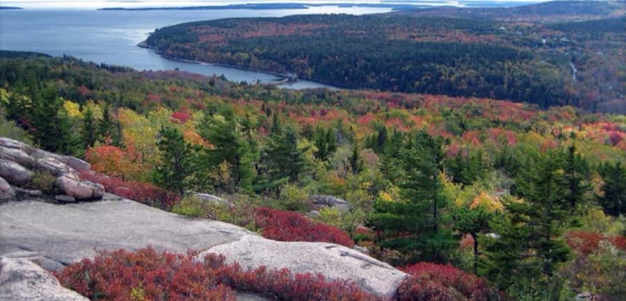 Bar Harbor: Premium Private Tour with Local Guide - Riding in the 2025 Kia Carnival