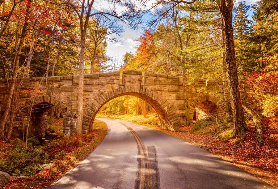 Bar Harbor: Premium Private Tour with Local Guide - The 27-mile Park Loop Road