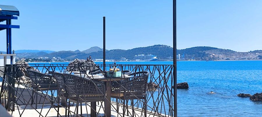 Bar: Montenegro Highlights Tour for Cruise Passengers - The ancient olive tree near Tomba