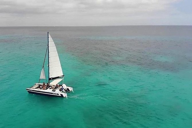 Barbados Catamaran Snorkel Cruise with Open Bar - Why this small catamaran format matters