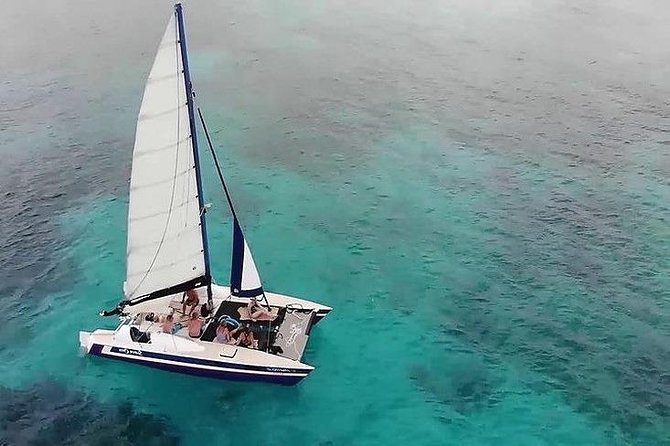 Barbados Catamaran Snorkel Cruise with Open Bar - Carlisle Bay and the search for sea turtles