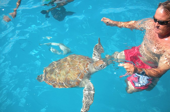 Barbados Catamaran Turtle Snorkel with Lunch and Open Bar - Sailing the west coast with lunch and an open bar