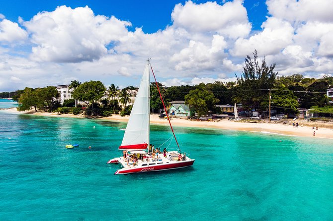 Barbados Catamaran Turtle Snorkel with Lunch and Open Bar - Who will enjoy this Barbados excursion most