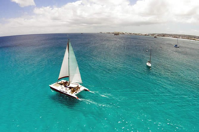 Barbados Catamaran Turtle Snorkel with Lunch and Open Bar - Practical booking advice and cancellation terms