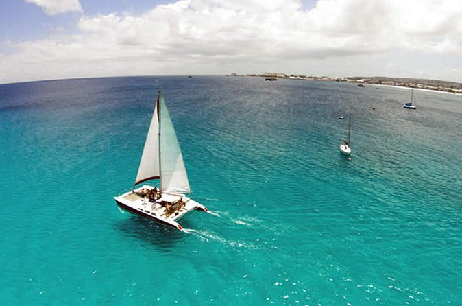 Barbados Catamaran Turtle Snorkel with Open Bar - Turtle snorkeling in Carlisle Bay