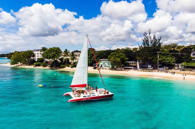 Barbados Catamaran Turtle Snorkel with Open Bar - The shipwreck stop adds variety