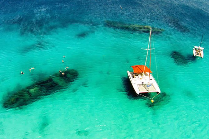Barbados Catamaran Turtle Snorkel with Open Bar - Rum punch, banana bread, and no formal lunch