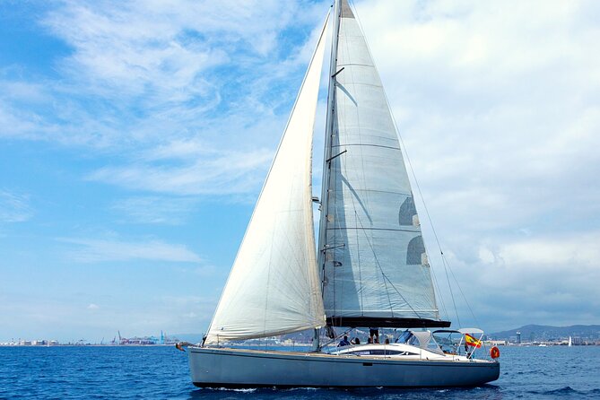 Barcelona Luxury Yacht Cruise – Day or Sunset, Open Bar & Snacks - The swimming stop and marine life