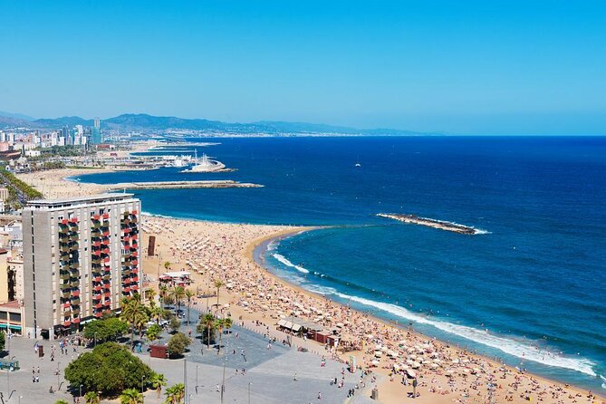 Barcelona Sunset Cruise with Light Snacks and Open Bar - Key points at a glance