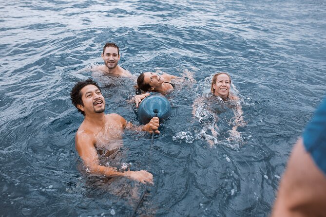 Barcelona Sunset Cruise with Open Bar of Cava and Snacks - Cava, mineral water, and the snack service