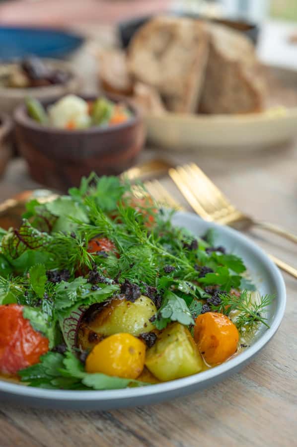 Barossa Long Lunch at Maggie Beer's Farm - The farm walk around the dam