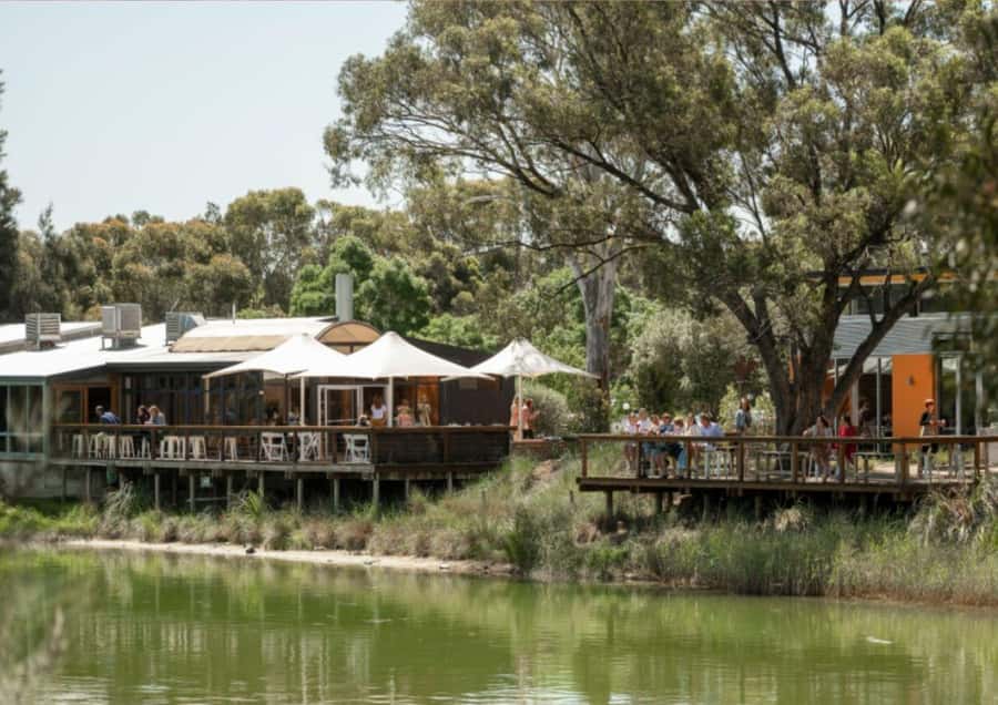 Barossa Valley: Maggie Beer's Wine Tasting & Cheese Platter - Key details before you book