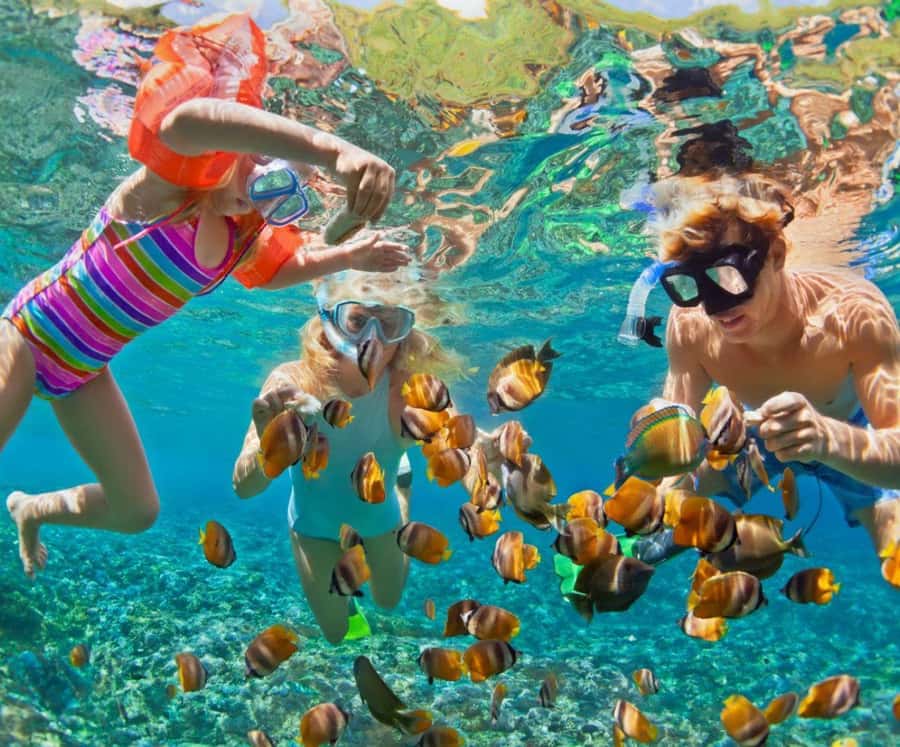 Barú: Club Freedom Beach with Mangrove and Snorkel - Key points to know before booking