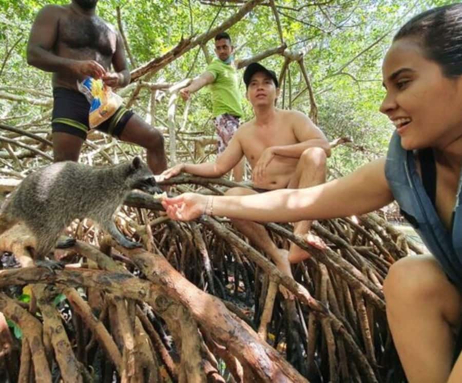 Barú: Club Freedom Beach with Mangrove and Snorkel - Getting back to Cartagena