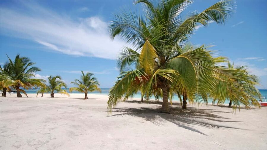 Bayahibe: Saona Island Sailing in catamaran with open bar - Key points before you book