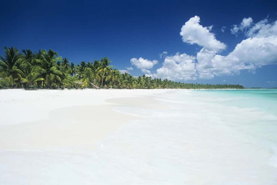 Bayahibe: Saona Island Sailing in catamaran with open bar - Who will enjoy this Saona day most