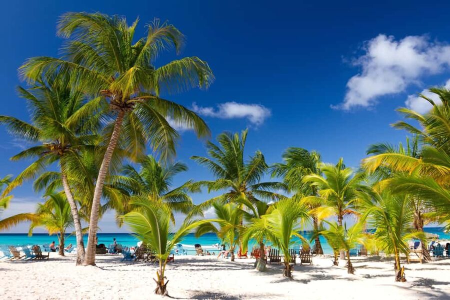 Bayahibe: Saona Island Sailing in catamaran with open bar - The catamaran ride sets the tone