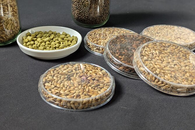 Beer tasting in a Brussels Micro Brewery and Distillery - The two-beer tasting, and why the small pours work
