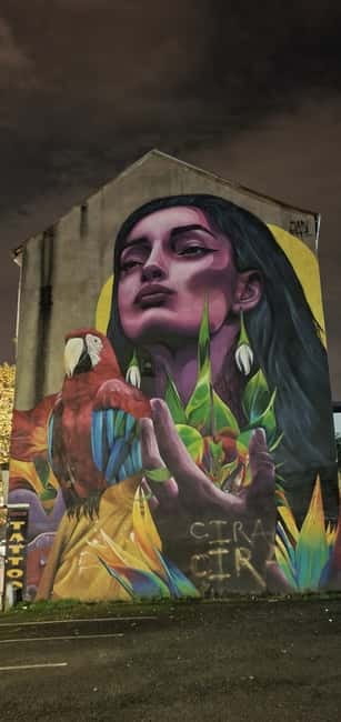 Belfast : Pub Music , Street Art Experience Walking Tour - Who should book this experience?
