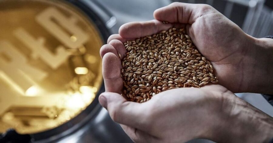 Berlin: BRLO BRWHOUSE Tour and Craft Beer Tasting - Who should book this Berlin beer tour?