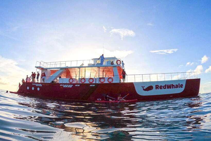 Boracay: Red Whale Party Cruise w/ Snacks & Water Activities - Who should book this cruise?