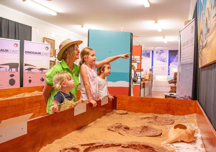 Broome: Matso's Brewery, Museum & Crocodile Park Combo Tour - Who will get the most from this tour?